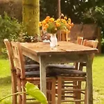 Amai 贝内瓦吉恩纳