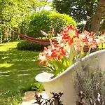 Amai 4* Bene Vagienna