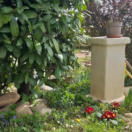 Bed & Breakfast Amai Bene Vagienna