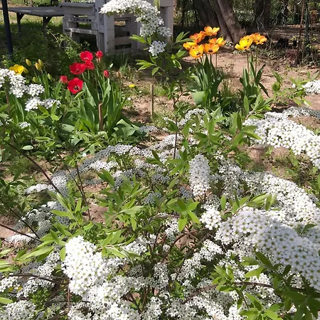 Amai 3* Bene Vagienna