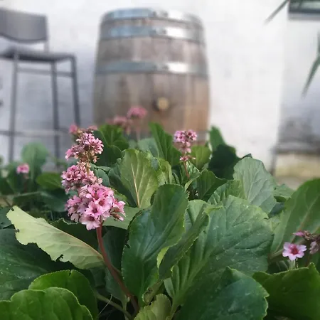 Bed & Breakfast Amai