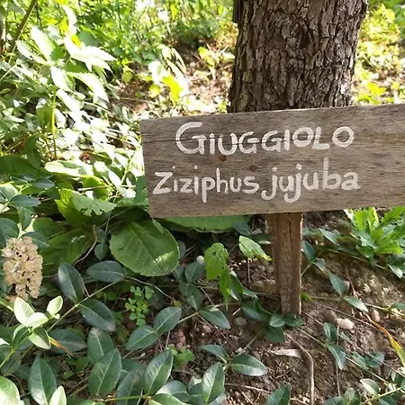 Bed & Breakfast Amai