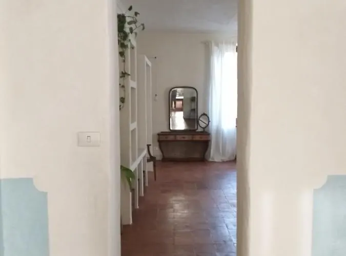 B&B Amai